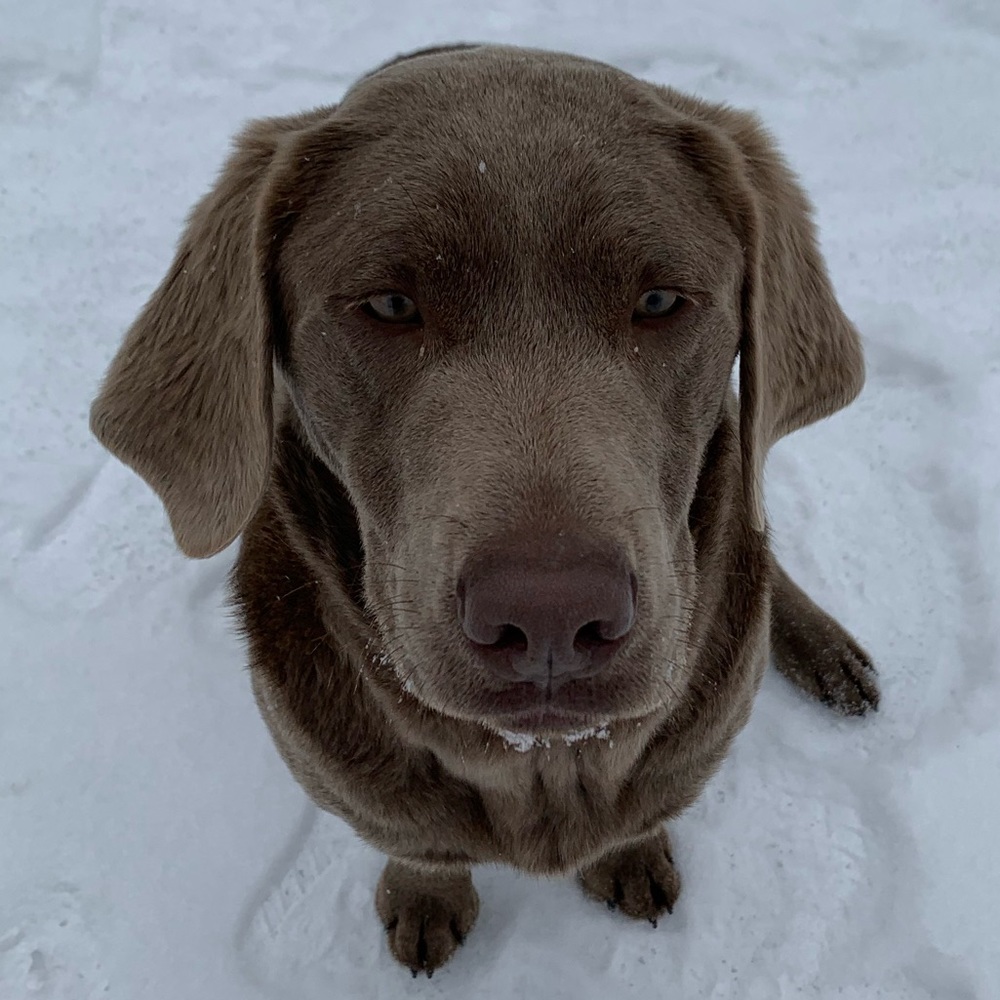 Meet your Posher, Kim